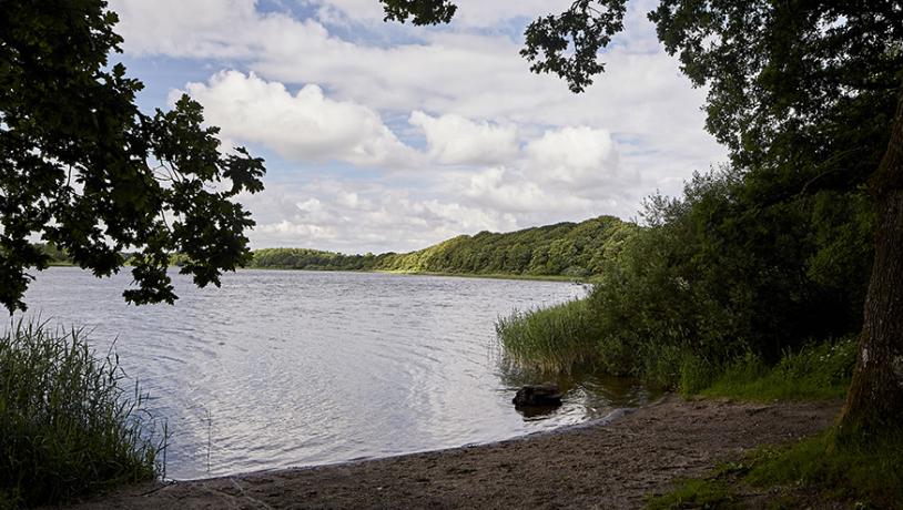 Jels Midtsø med strandkant