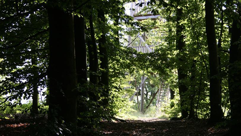 Tårnet på Fru Mettes Bjerg Læborg