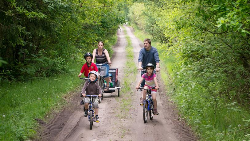 Cykelture i skoven - Klelund ved Hovborg