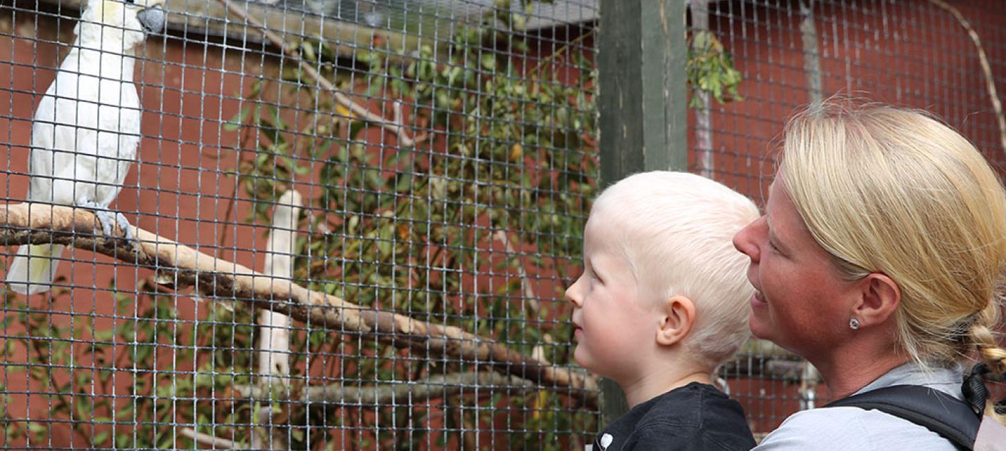 Kom tæt på dyrene i Glad Zoo