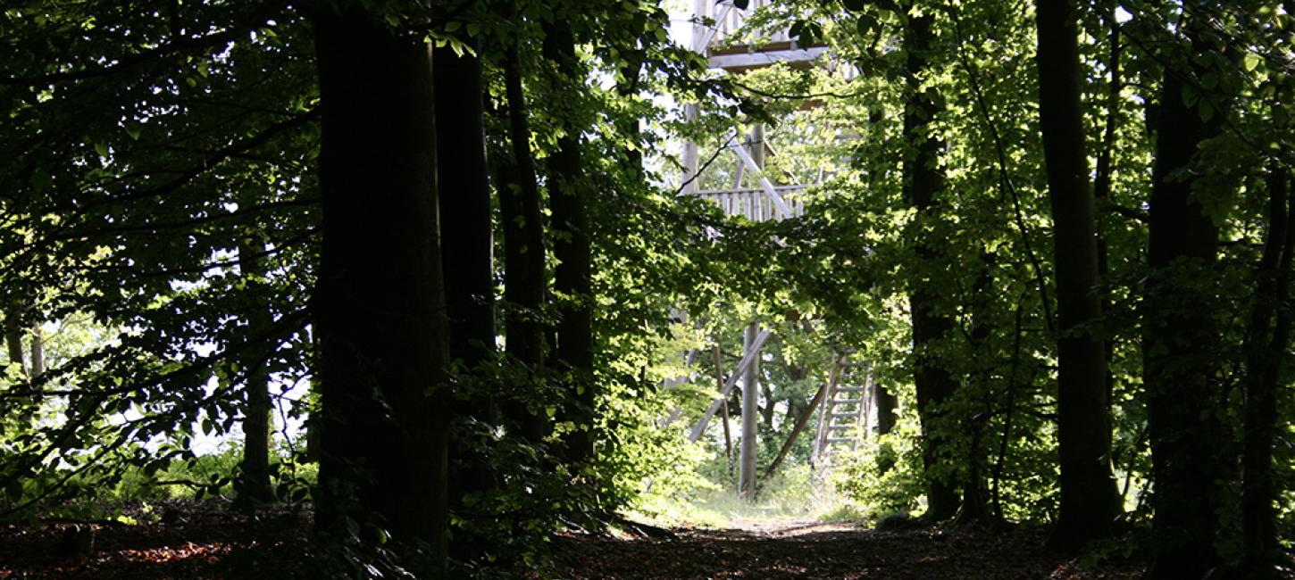 Tårnet på Fru Mettes Bjerg Læborg