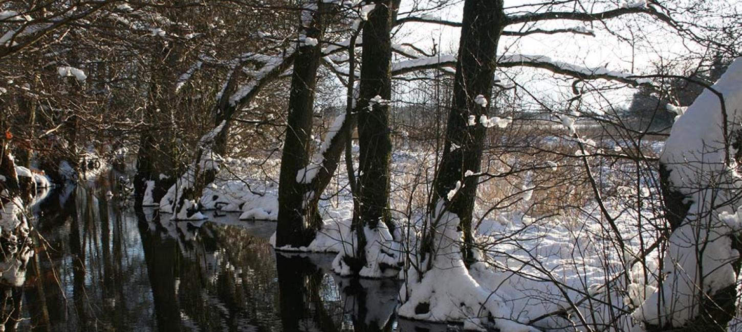 Vinter ved Heksebroen, Jels Nedersø