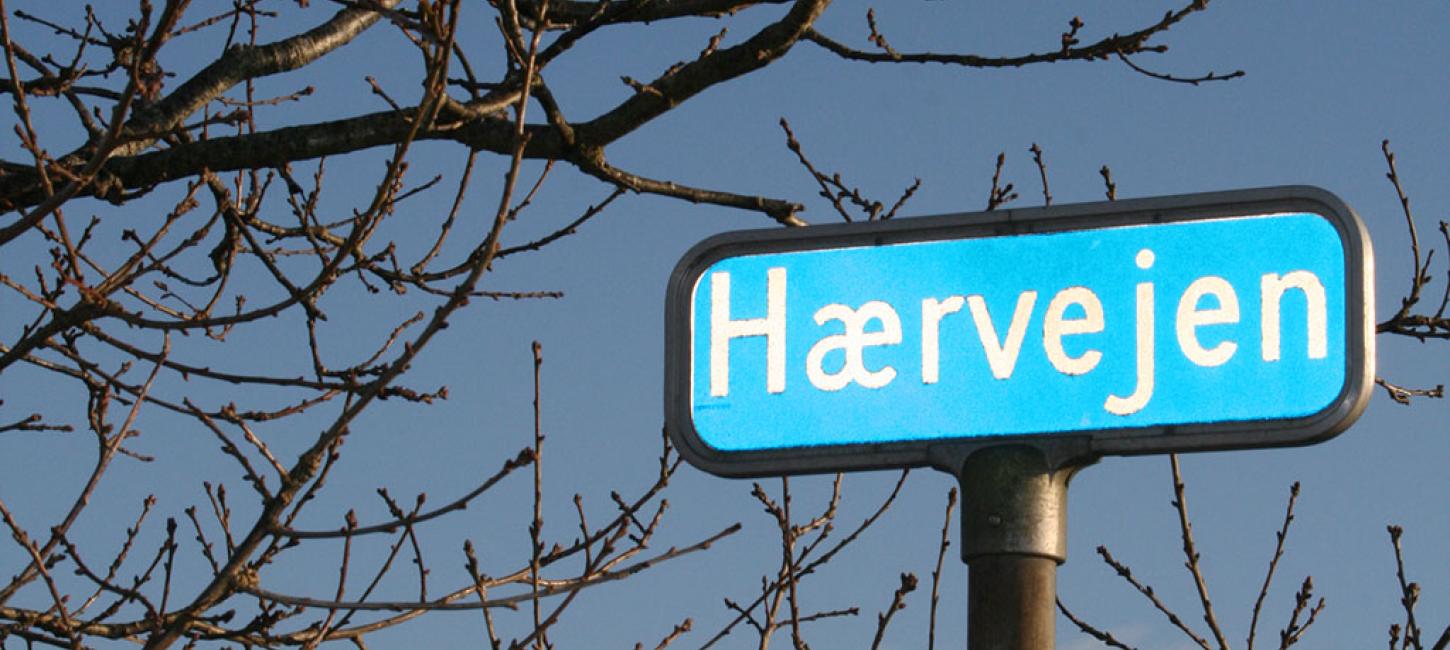 Hærvejsture