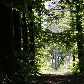 Tårnet på Fru Mettes Bjerg Læborg