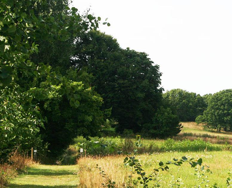 Alle typer overnatning langs kyst-til-kyststien fra Hovborg til Bække